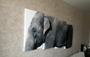 Elephant creative wall art