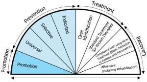 Continuum of Care diagram